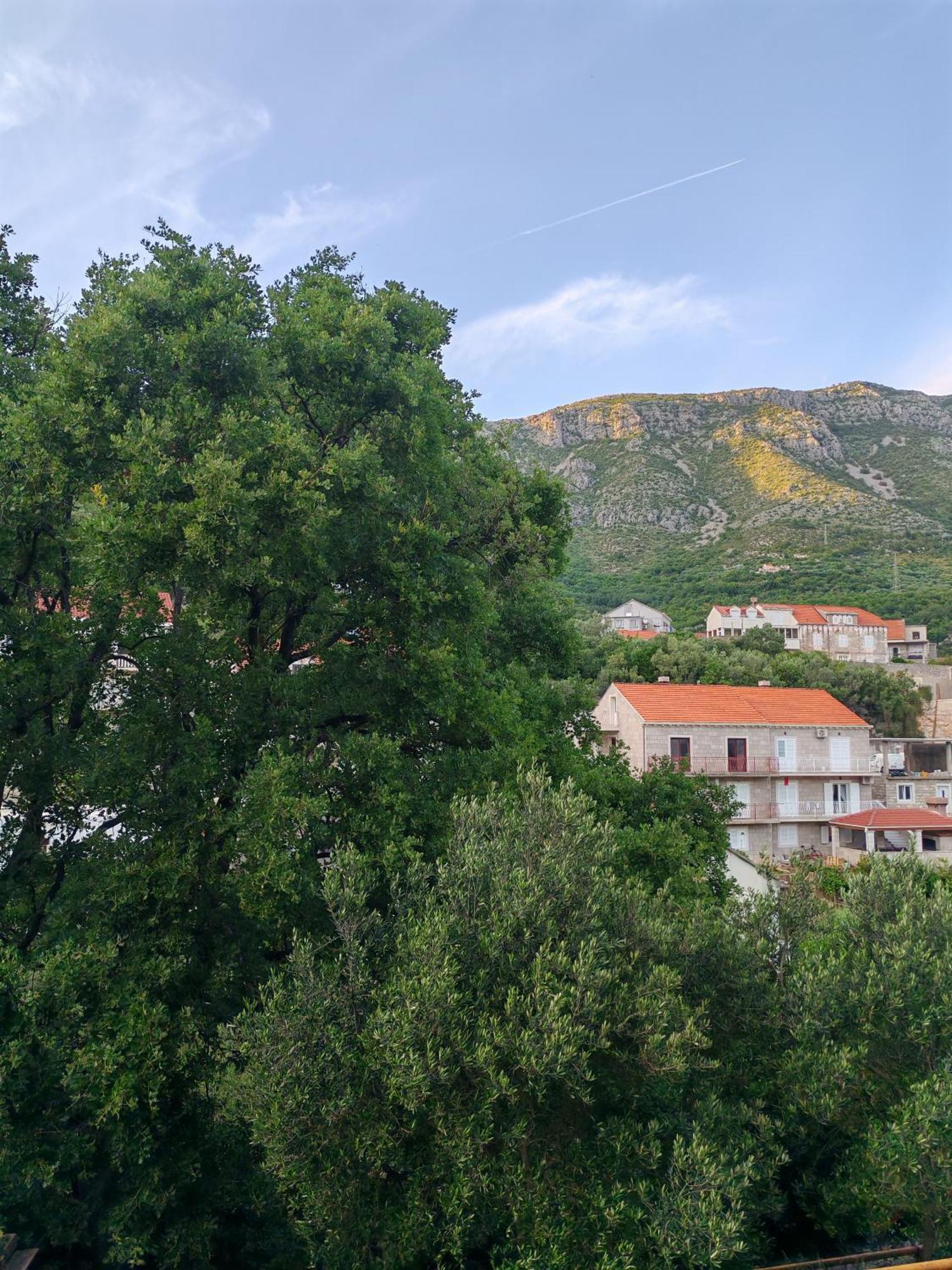 Apartment Oscar Mokošica 部屋 写真